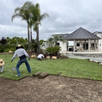 New Sod Going In....