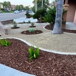 Turf Removal Project....