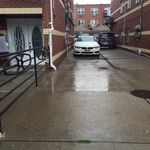 Paver driveway and walkway ,brickwall