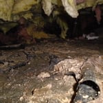 Bad Crawl Space
