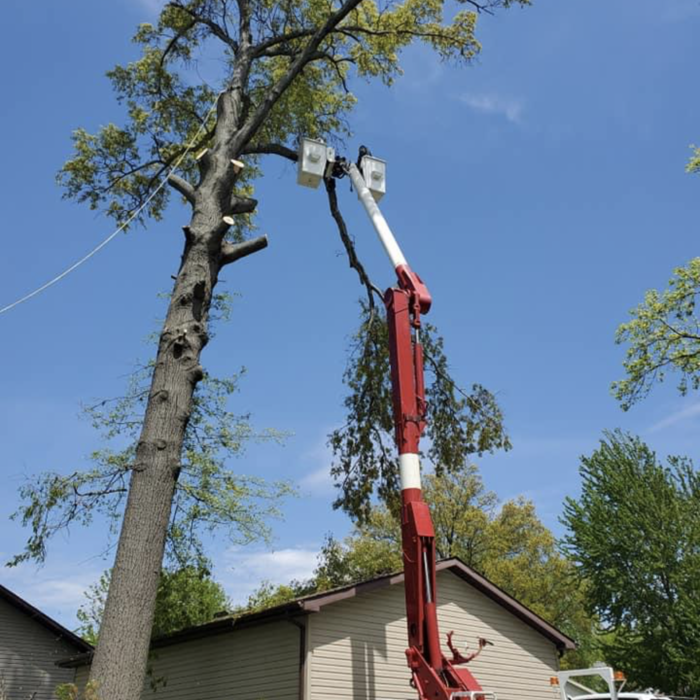 My Work
