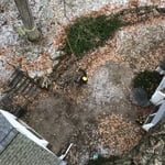Tree work
