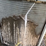 Coil Cleaning