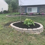 New Landscape Install