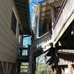 After all of the dead limbs were removed