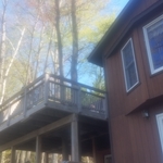 Trees in deck