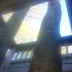 Veiw from under deck