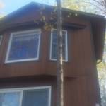 Tree in stairs