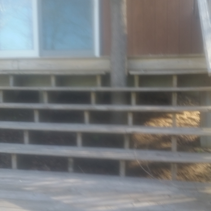 Tree in stairs