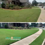 Lawn Care