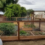 Garden Fence