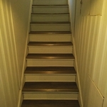 Basement steps