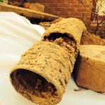 Clogged Foundation Drain