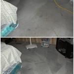 Pet and drink stains