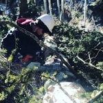 Fire Mitigation