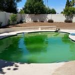 Green To Clean Before