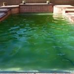 Green to Clean