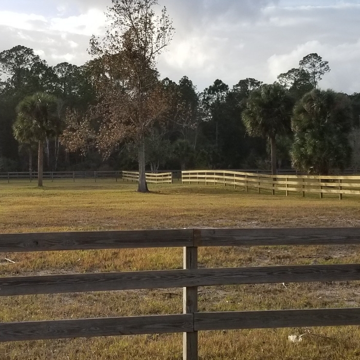 Wooden 3 Rail Ranch