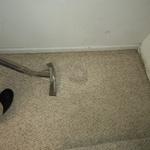 Stain Removal