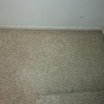 Stain Removal