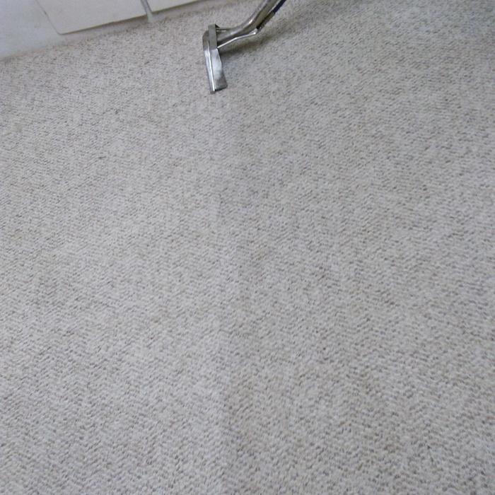 Carpet Clean