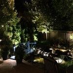 Fun Back Yard Lighting