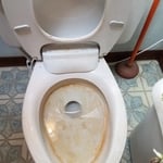 Same home as the sink. Many years of neglect.