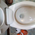 Example of what just a good cleaning can do.