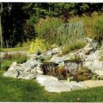 pond 2- water falls