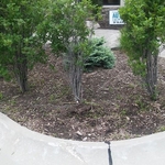 Before of one of the landscaped areas.