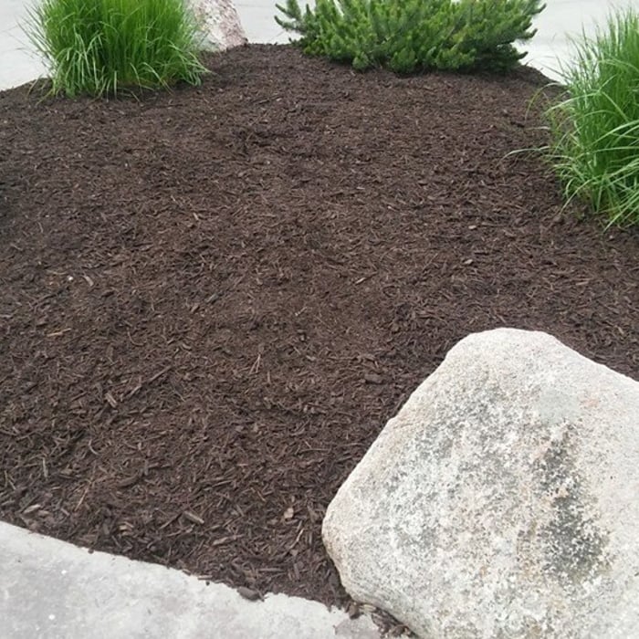 After- Chocolate Brown Mulch