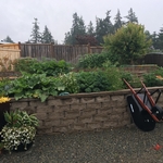 Walls complete and garden growing.