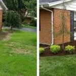 Flower bed before and after