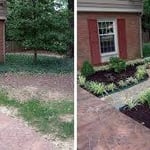 before and after