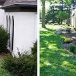 before and after