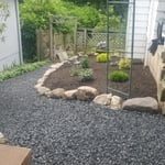 Backyard renovation