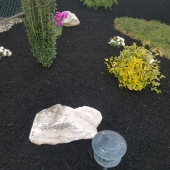 Mulch and plants