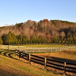 Three board Equestrian