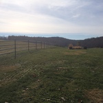 Forever fence