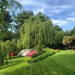 Residential Service