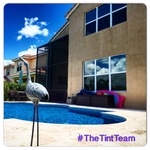 Residential Window Tinting