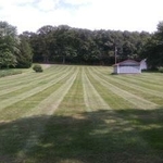 WEEKLY MOWING