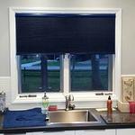 Cell Shade in Blue