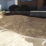 Remove your Grass.