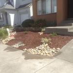 Front Yard.
