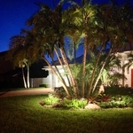 Tropical Landscape Lighting