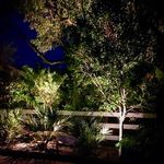 Tropical Landscape Lighting