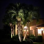 Tropical Landscape Lighting