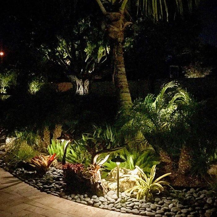 Tropical Landscape Lighting