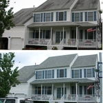 roof shampoo